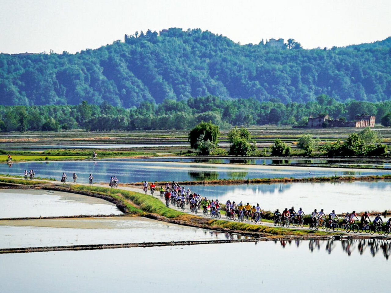 Group cycling through the rice fields of the Vercelli plain