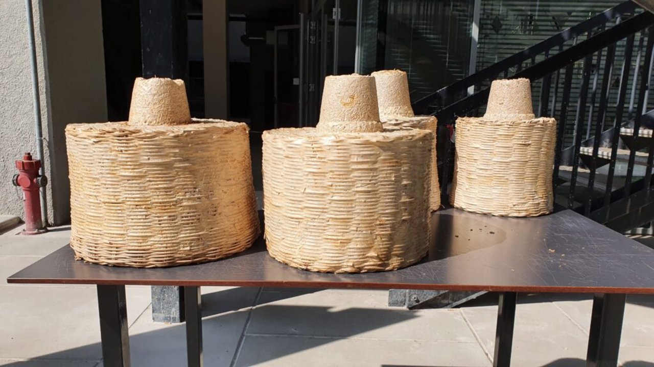 Torri di fibre biologiche: micelio, canapa, rattan