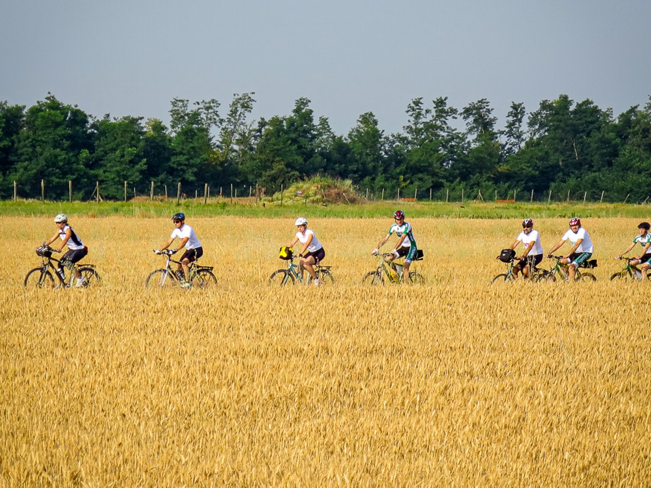The countryside near Belgioioso (PV) 