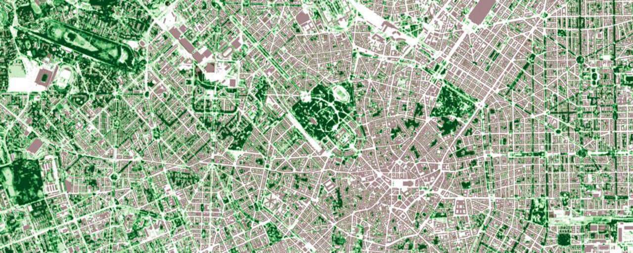 Urban vegetation mapping