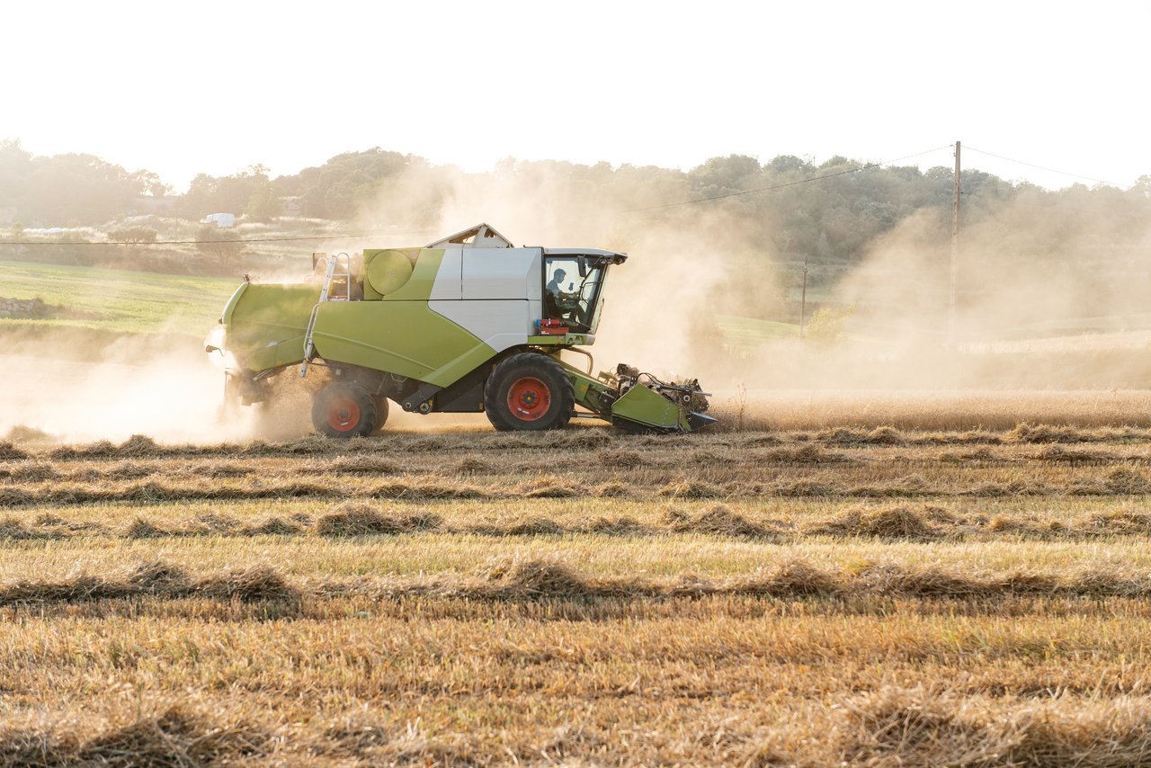 Mietitrebbia in azione durante la raccolta dei cereali in un campo