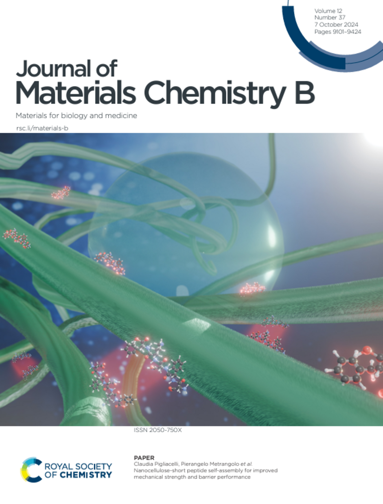 Copertina della rivista Journal of Materials Chemistry B