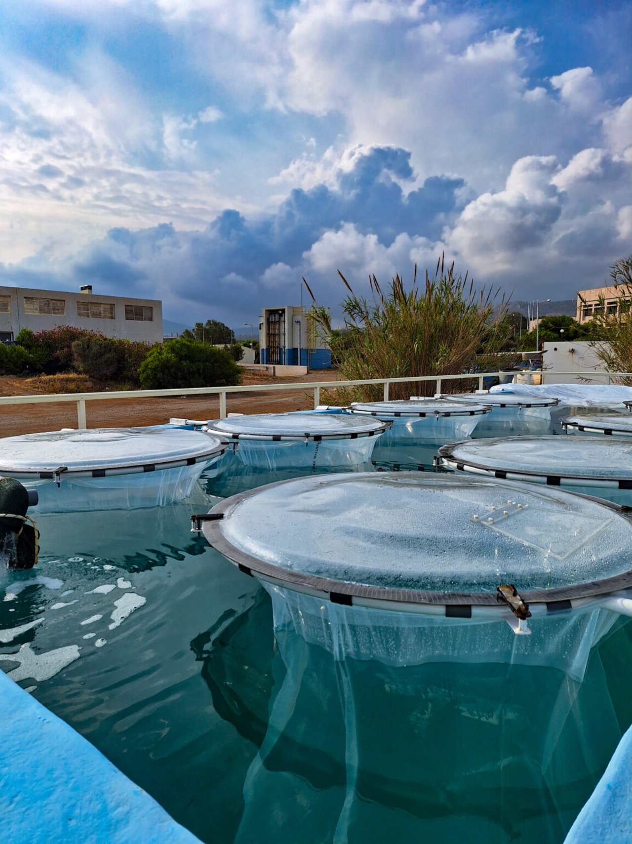 Mesocosms for CO2 storage experiments