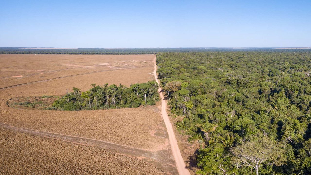 Panoramic aerial drone view of illegal deforestation in the Amazon, Mato Grosso, Brazil. Forest trees and agricultural land.