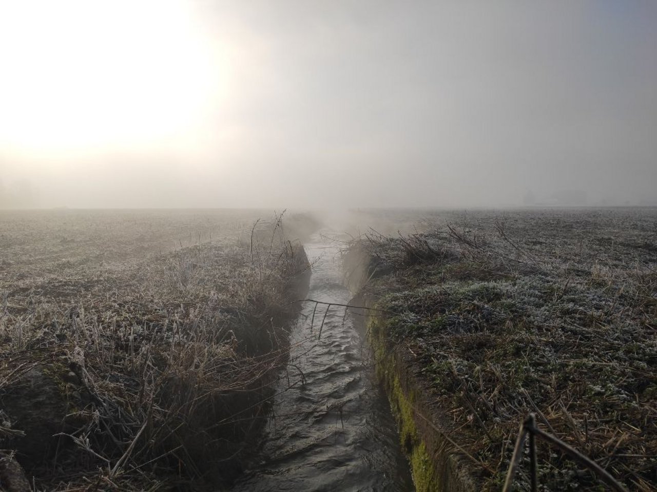 I campi di sperimentazione del progetto MAURICE durante l’irrigazione invernale
