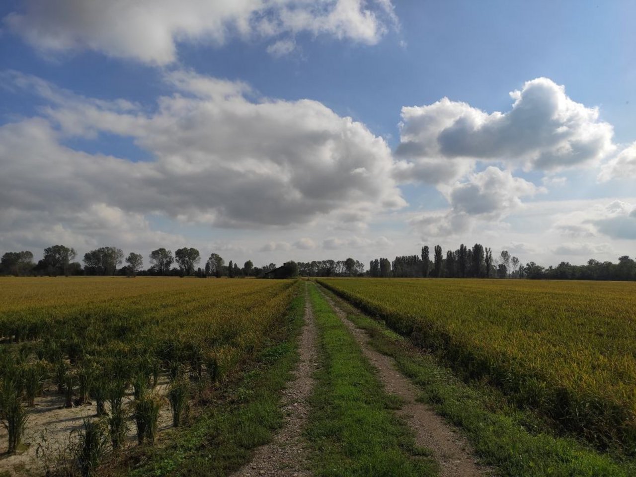 I campi di sperimentazione del progetto MAURICE