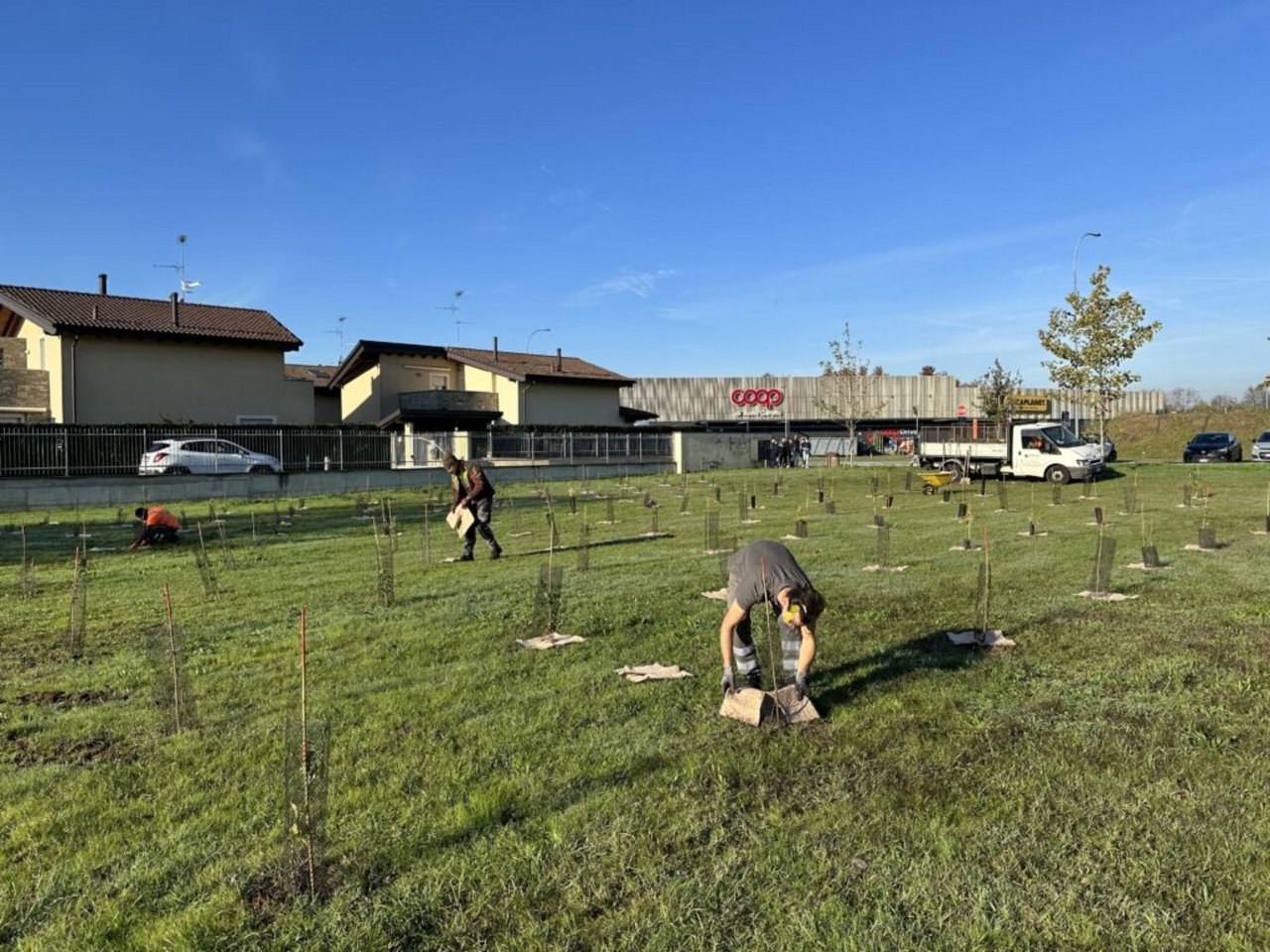 Forestami a Busto Garolfo