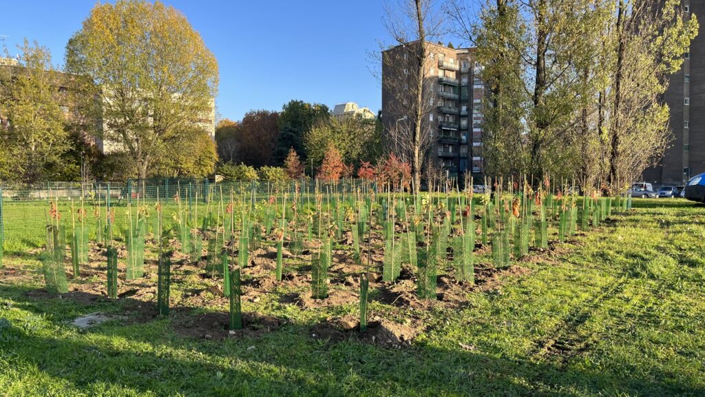 Forestami in Cesano Boscone