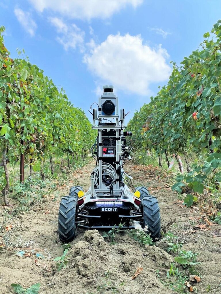 La piattaforma robotica in una vigna