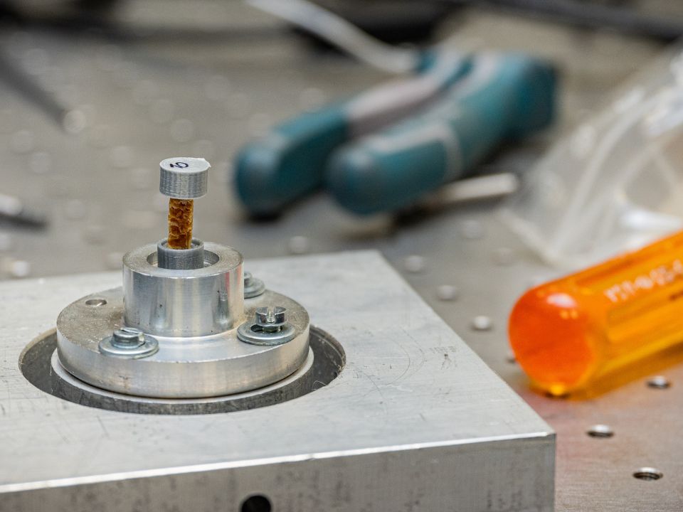 Prove su scaffold in laboratorio