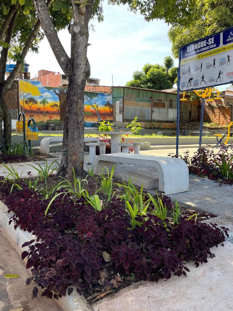 Vegetation in the new Paranoá square adapted to the cerrado