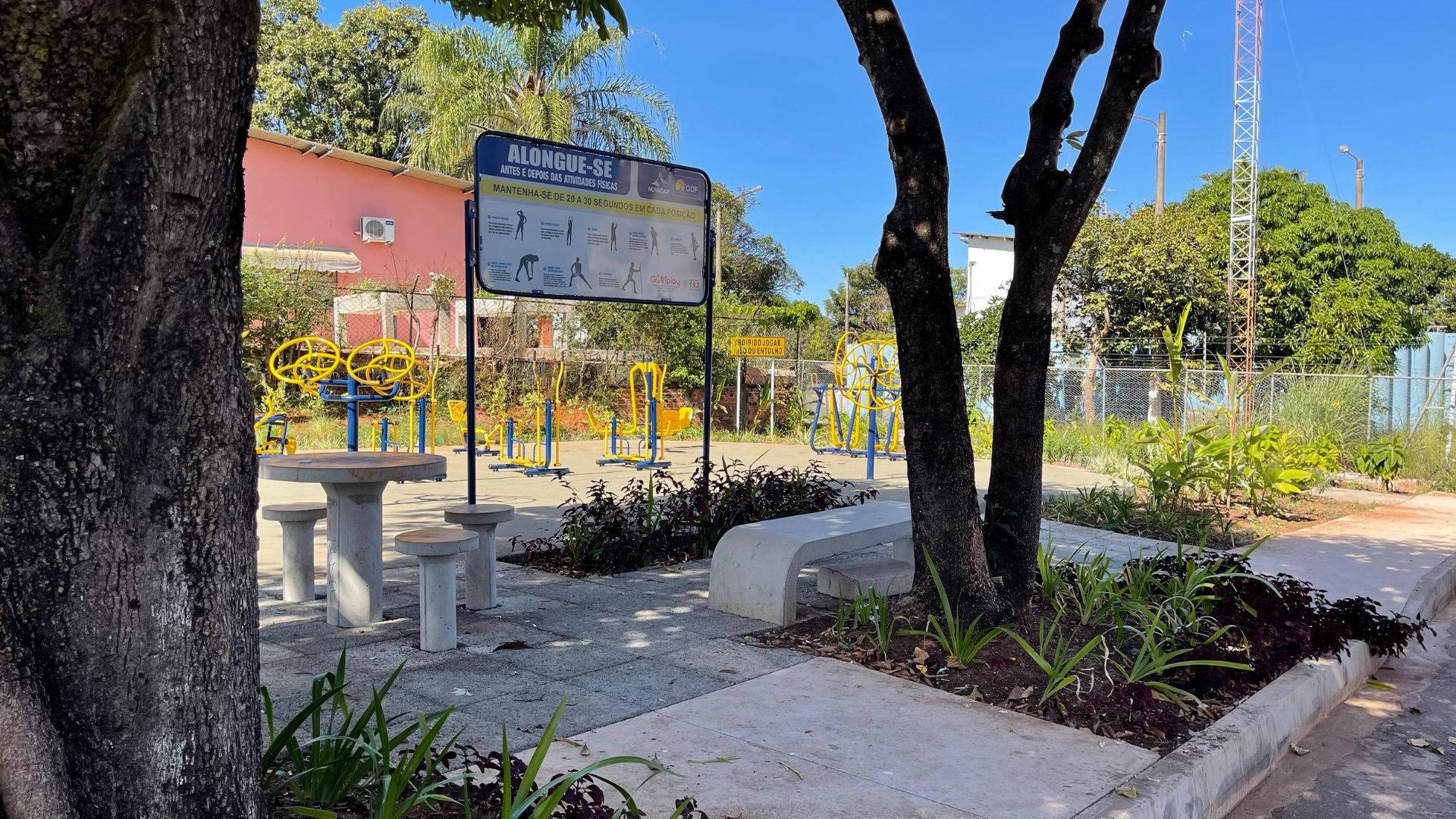 Vegetation in the new Paranoá square adapted to the cerrado