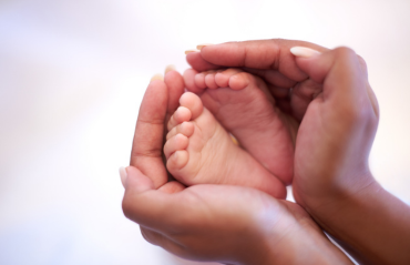 Maternal Care - cover